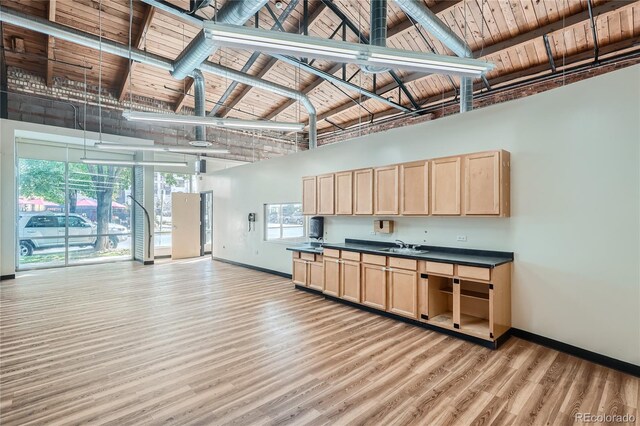 1005 Acoma St, Denver, CO 80204 - photo 21