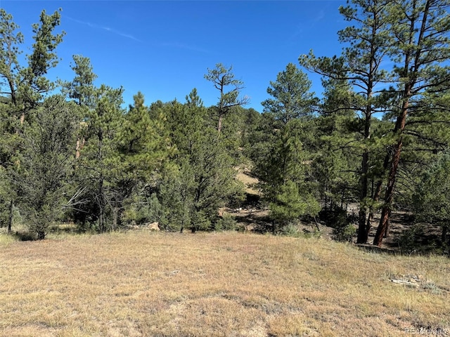 Listing photo 3 for LOT9 Sundance Rd, Cotopaxi CO 81223