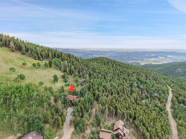 83 Hill Cir, Evergreen, CO 80439 - photo 22