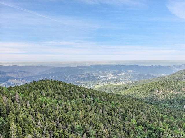 83 Hill Cir, Evergreen, CO 80439 - photo 12