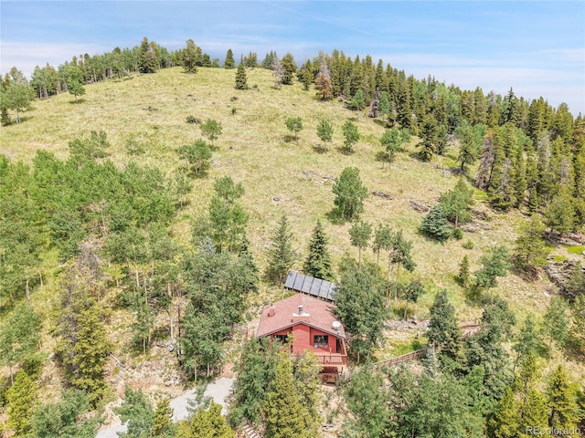 83 Hill Cir, Evergreen, CO 80439 - photo 18