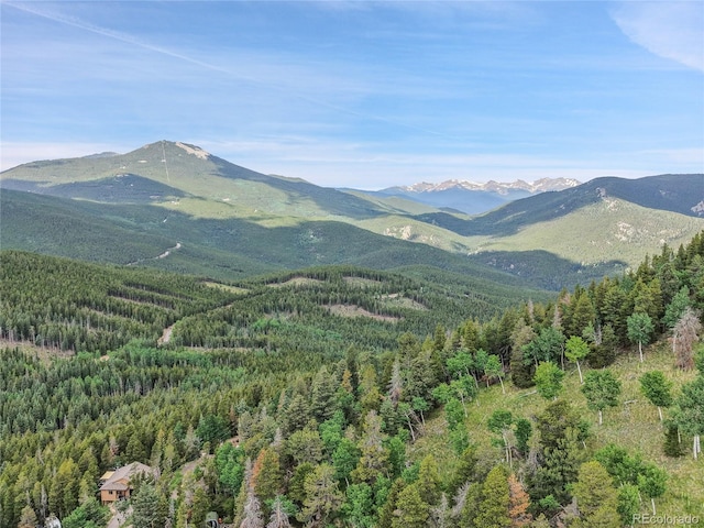 83 Hill Cir, Evergreen, CO 80439 - photo 20