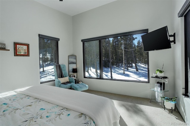 bedroom featuring carpet floors