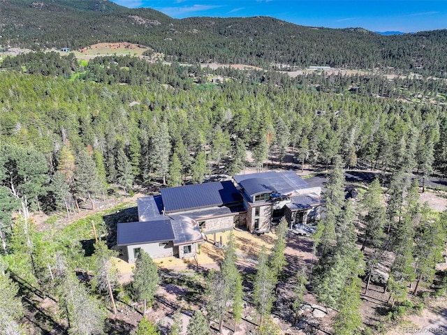 11505 Conifer Ridge Dr, Conifer, CO 80433 - photo 35