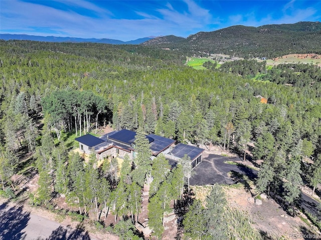 11505 Conifer Ridge Dr, Conifer, CO 80433 - photo 36