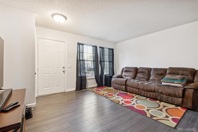 living room with wood-type flooring and a textured ceiling