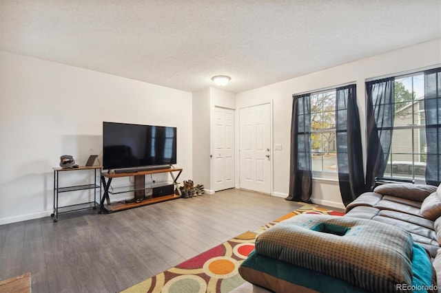 living room with a textured ceiling and hardwood / wood-style flooring