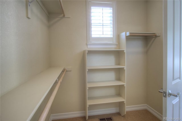 8594 W Quarto Ave, Littleton, CO 80128 - view of walk in closet