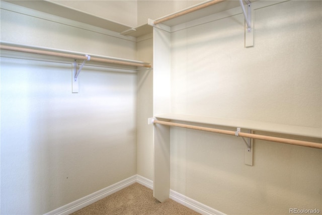 8594 W Quarto Ave, Littleton, CO 80128 - spacious closet featuring carpet
