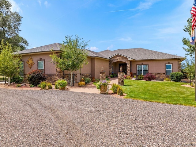 ranch-style house featuring stucco siding, stone siding, and a front lawn