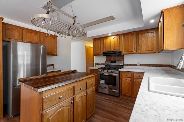 1136 Bird Point Dr, Cotopaxi, CO 81223 - kitchen with dark wood finished floors, under cabinet range hood, a sink, a kitchen island, and appliances with stainless steel finishes