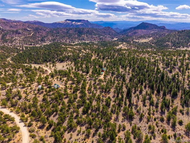 1136 Bird Point Dr, Cotopaxi, CO 81223 - mountain view