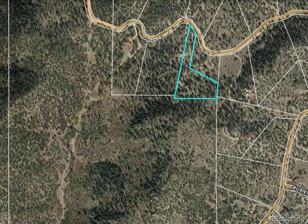 1136 Bird Point Dr, Cotopaxi, CO 81223 - map