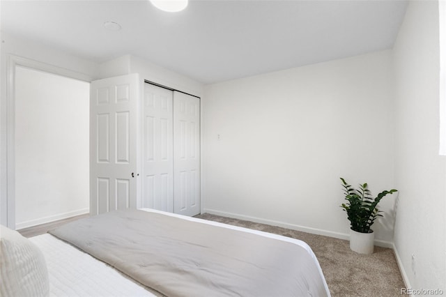 5640 Niagara St, Commerce City, CO 80022 - bedroom featuring carpet floors and a closet