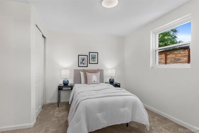 5640 Niagara St, Commerce City, CO 80022 - bedroom featuring carpet floors and a closet