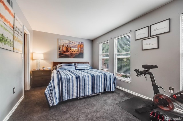 1150 Inca St Unit 43, Denver, CO 80204 - bedroom featuring carpet and baseboards