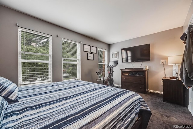 1150 Inca St Unit 43, Denver, CO 80204 - carpeted bedroom with baseboards