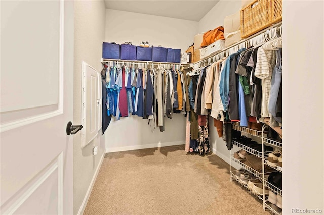 walk in closet with carpet
