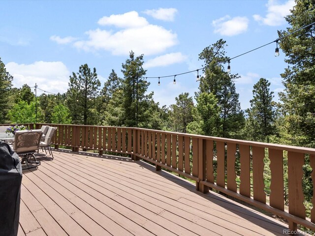 30382 Kings Valley E, Conifer, CO 80433 - photo 17