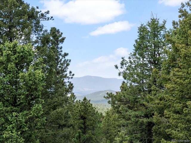 30382 Kings Valley E, Conifer, CO 80433 - photo 19