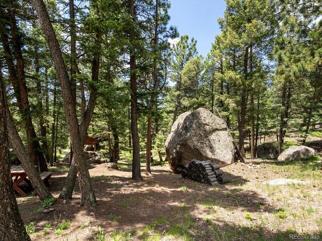 30382 Kings Valley E, Conifer, CO 80433 - photo 28