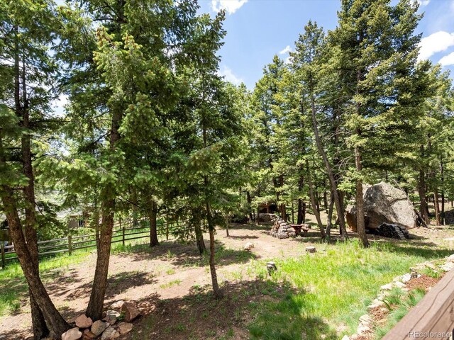 30382 Kings Valley E, Conifer, CO 80433 - photo 30