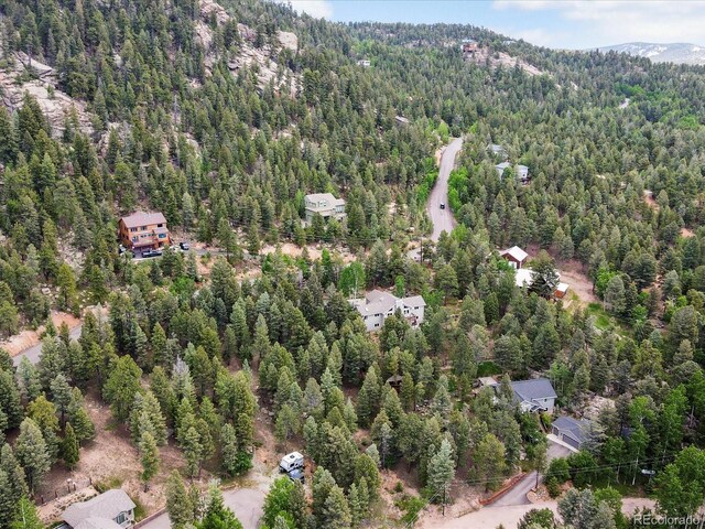 30382 Kings Valley E, Conifer, CO 80433 - photo 31