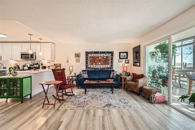 living area with light wood finished floors and a textured ceiling