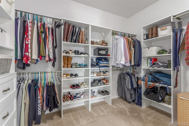 12513 Shore Point St, Firestone, CO 80504 - walk in closet with carpet flooring