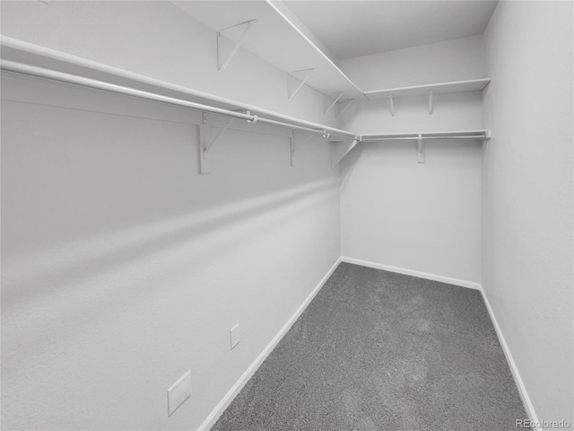 spacious closet featuring carpet