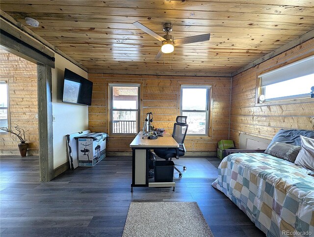 1456 Von Heyl Ln, Fort Garland, CO 81133 - photo 13