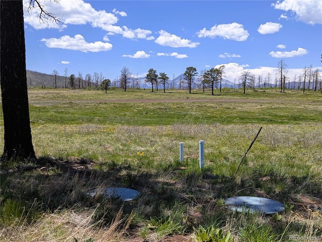 1456 Von Heyl Ln, Fort Garland, CO 81133 - photo 41