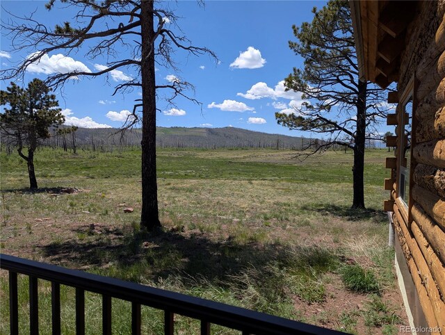1456 Von Heyl Ln, Fort Garland, CO 81133 - photo 3