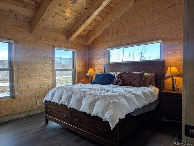 1456 Von Heyl Ln, Fort Garland, CO 81133 - photo 24