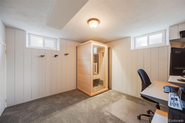 office area featuring carpet flooring and wooden walls