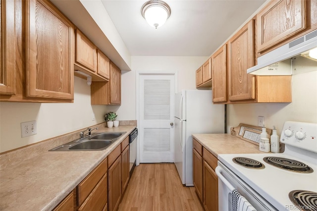 kitchen featuring extractor fan, light hardwood / wood-style flooring, sink, and white appliances