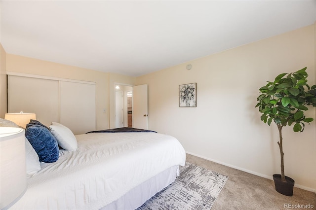 bedroom featuring carpet and a closet