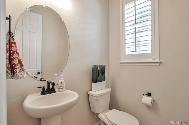 946 Oleander St, Castle Rock, CO 80109 - photo 12