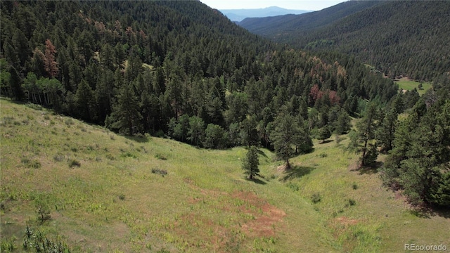 12318 S Foxton Rd, Conifer, CO 80433 - photo 6