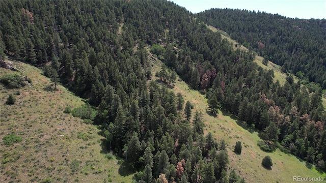 12318 S Foxton Rd, Conifer, CO 80433 - photo 45