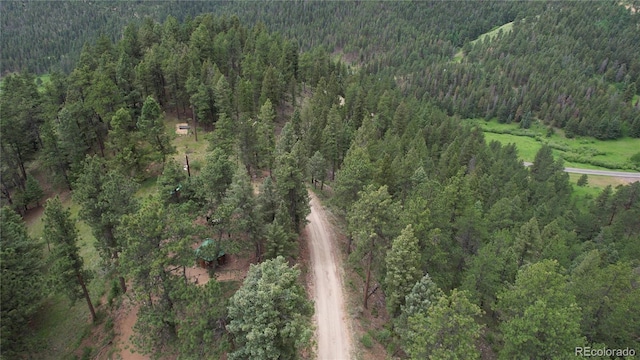 12318 S Foxton Rd, Conifer, CO 80433 - photo 46