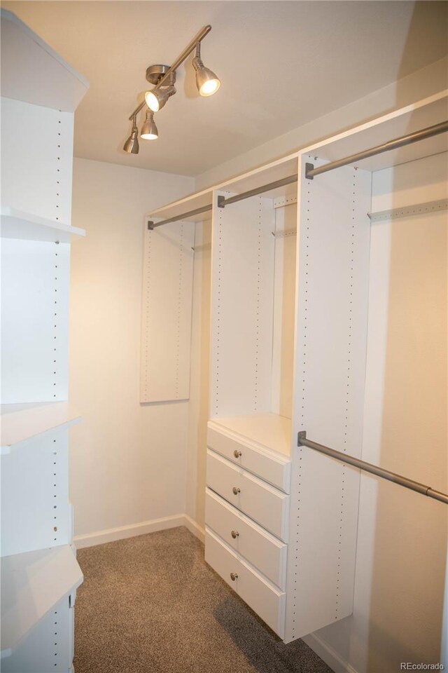 10554 Tanglewood Rd, Franktown, CO 80116 - photo 13
