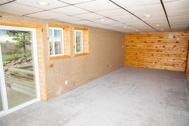 10554 Tanglewood Rd, Franktown, CO 80116 - photo 21