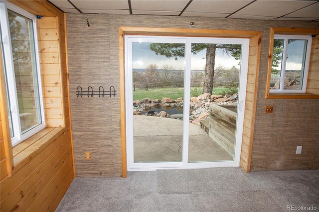 10554 Tanglewood Rd, Franktown, CO 80116 - photo 23
