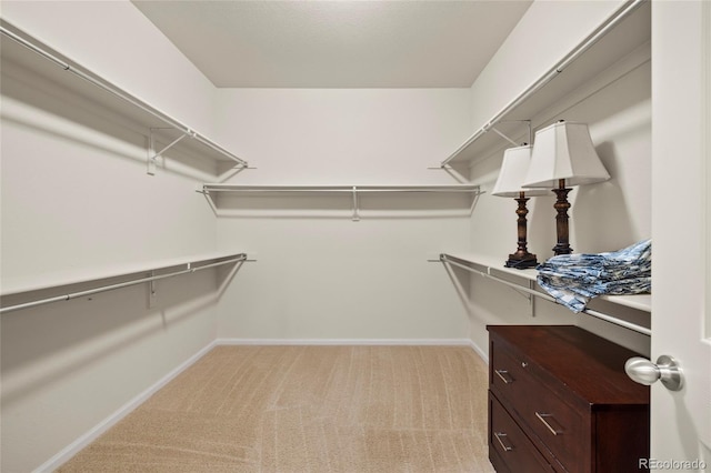 spacious closet featuring light carpet