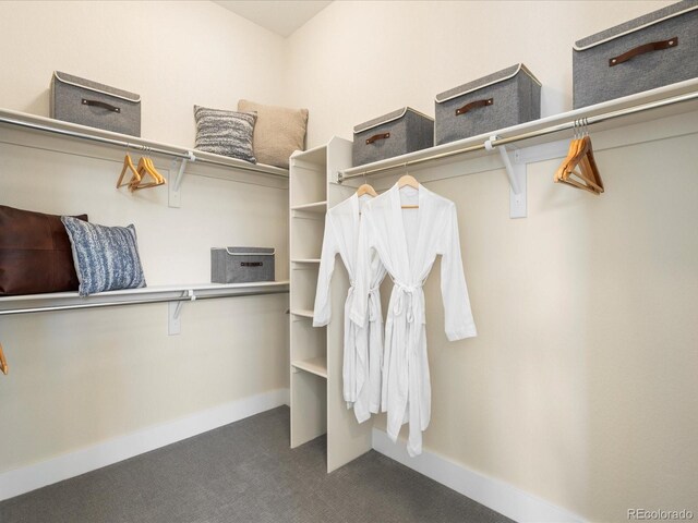 spacious closet with dark colored carpet
