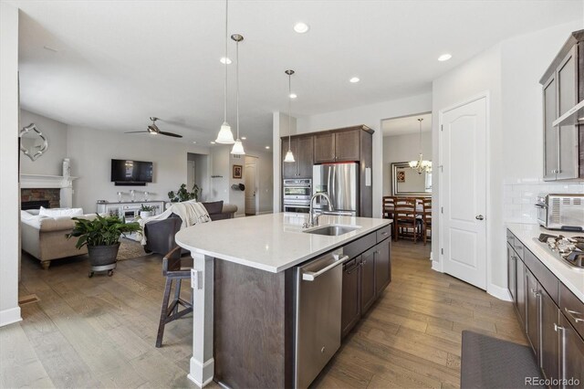 kitchen featuring appliances with stainless steel finishes, a sink, open floor plan, a ceiling fan, and wood finished floors