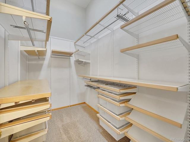 spacious closet with carpet flooring