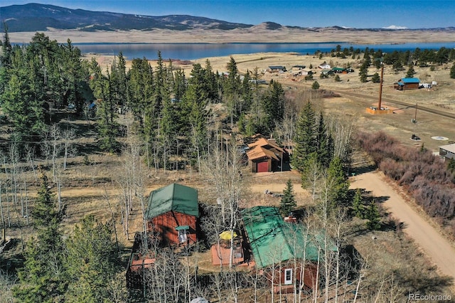 158 Brook Dr, Lake George, CO 80827 - photo 3