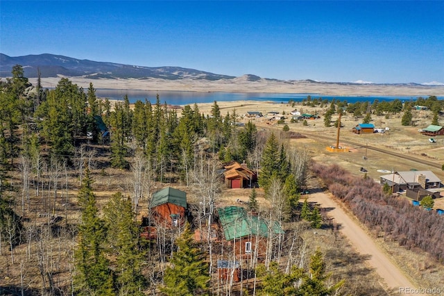 158 Brook Dr, Lake George, CO 80827 - photo 24